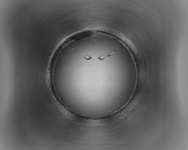 X0000112000976200908101319