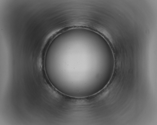 X0000112000979200908101318