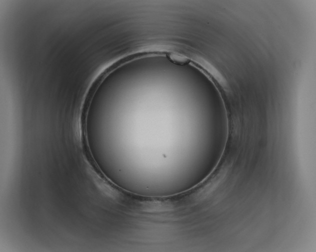 X0000112000980200908101318