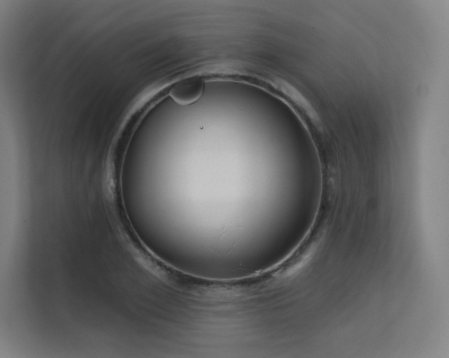 X0000112000981200908101318