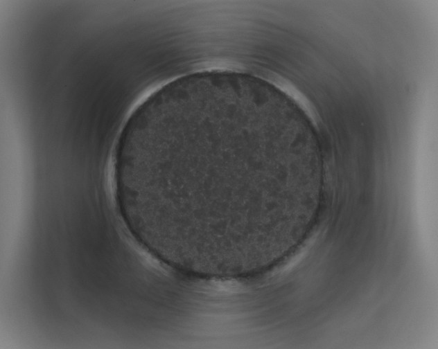 X0000112000983200908101318