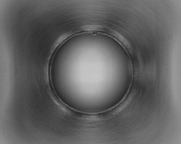 X0000112000986200908101318