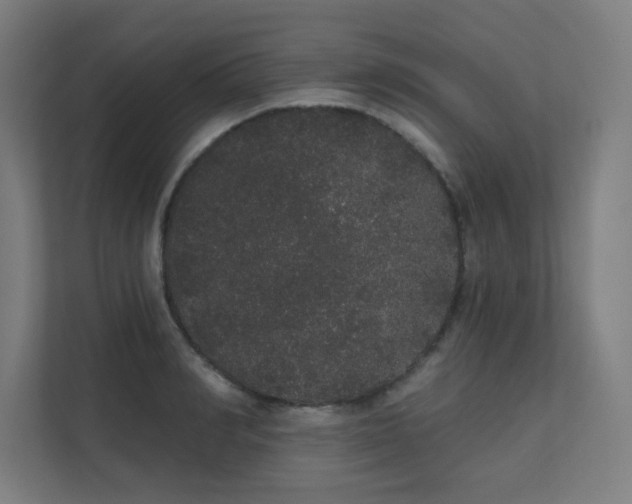 X0000112000990200908101318