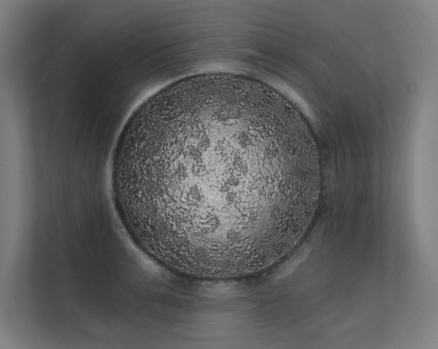 X0000112000991200908101318