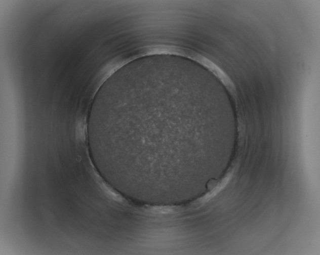 X0000112000993200908101318