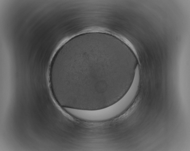 X0000112000997200908101318