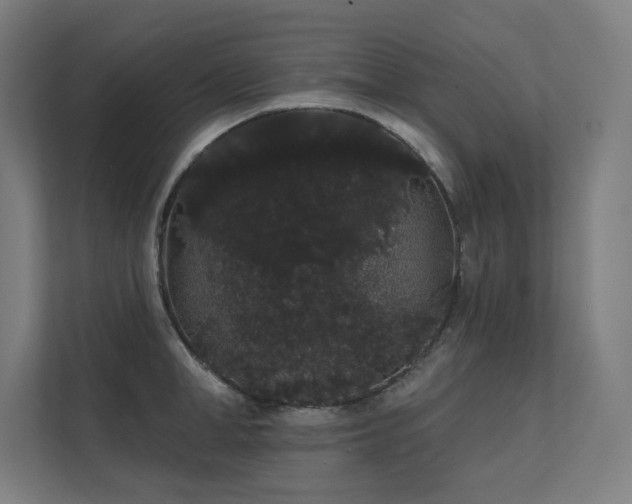 X0000112000998200908101318