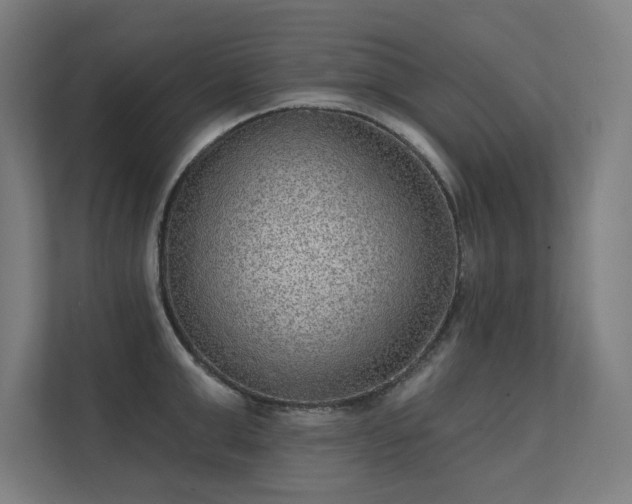 X0000112000999200908101318