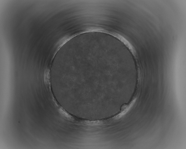 X0000112001001200908101318