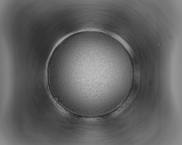 X0000112001004200908101318