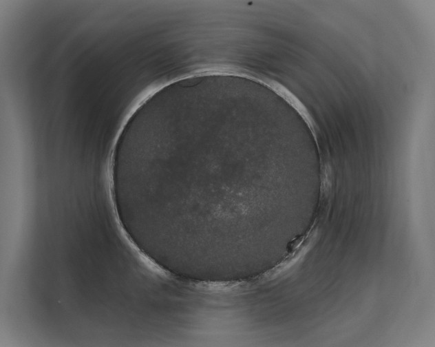 X0000112001005200908101318