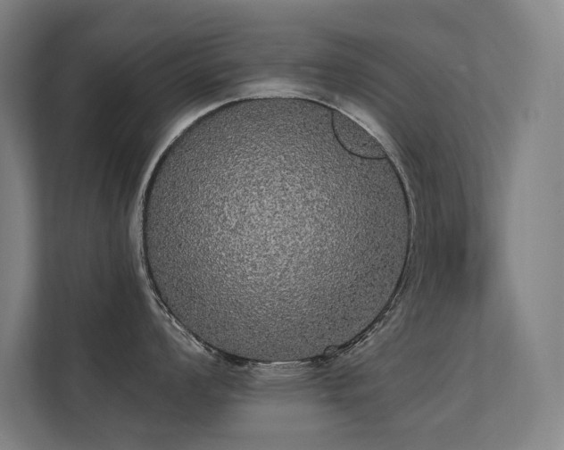 X0000112001008200908101318