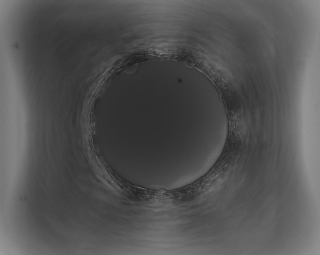 X0000112001009200908101317