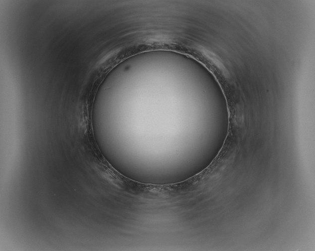 X0000112001015200908101318