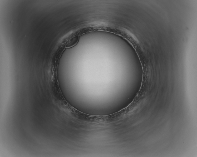 X0000112001016200908101318