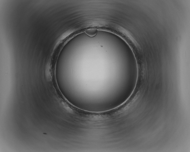 X0000112001018200908101318