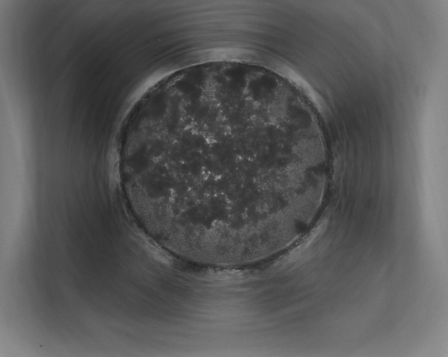 X0000112001019200908101318