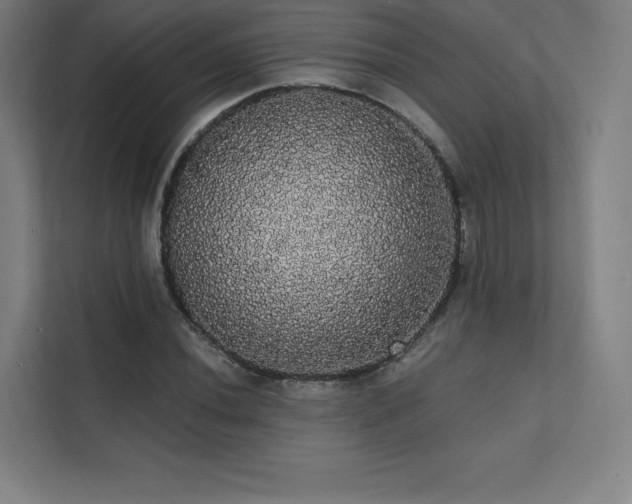 X0000112001020200908101318