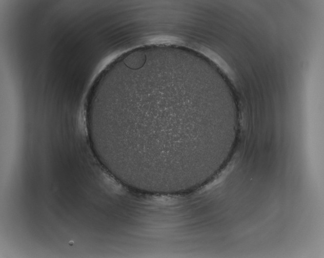 X0000112001022200908101318