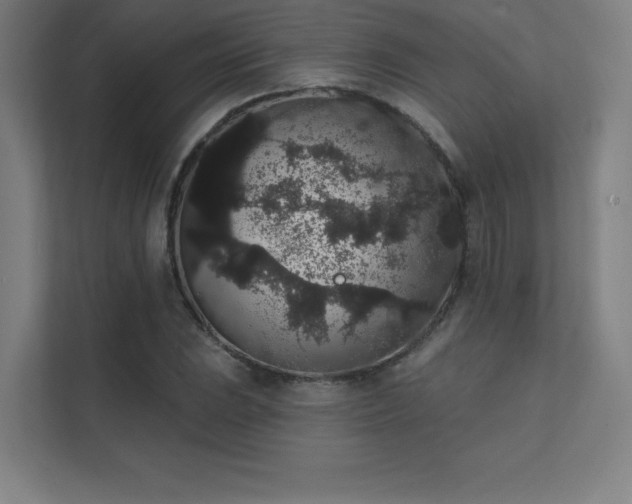 X0000112001023200908101318