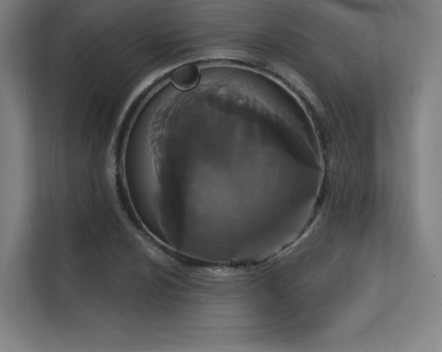 X0000112001024200908101318