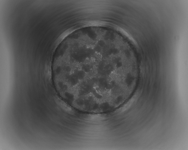 X0000112001025200908101318