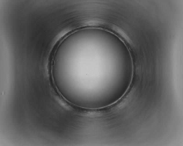 X0000112001026200908101318