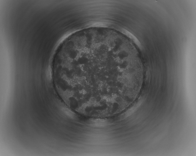 X0000112001027200908101318