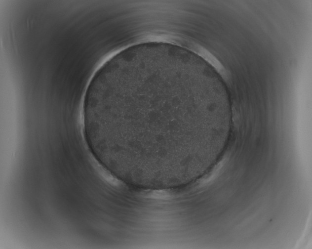 X0000112001028200908101318