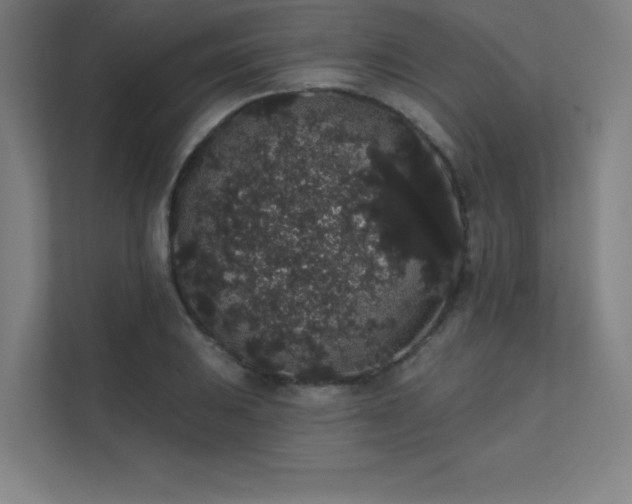 X0000112001031200908101318