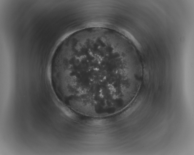 X0000112001035200908101318