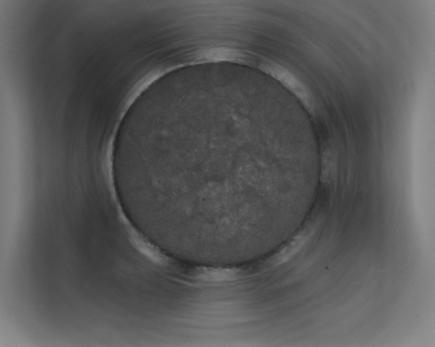 X0000112001039200908101318