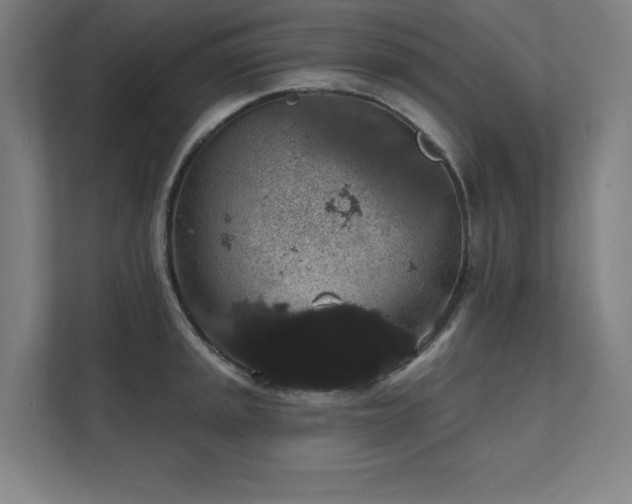 X0000112001045200908101318