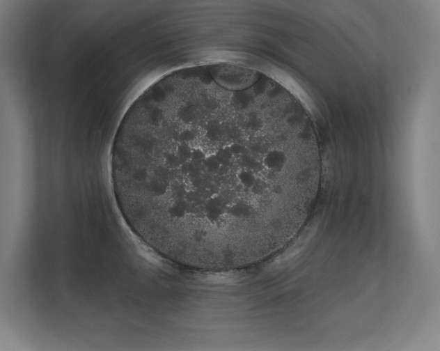 X0000112001047200908101318