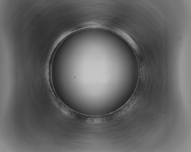 X0000112001051200908101318