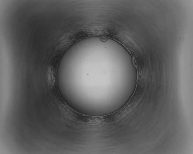 X0000112001058200908101317