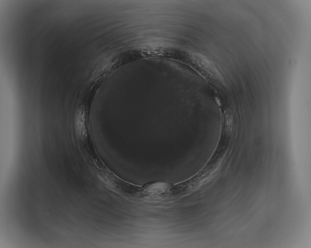 X0000112001060200908101317