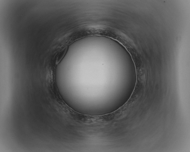 X0000112001061200908101317