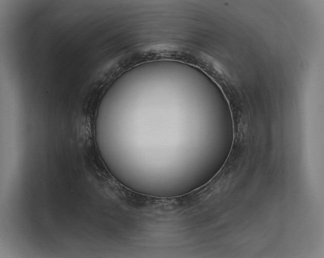 X0000112001062200908101317