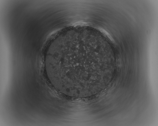 X0000112001063200908101317