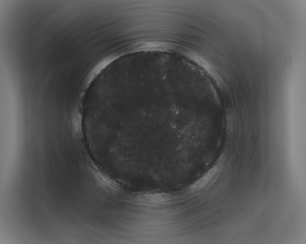 X0000112001066200908101317