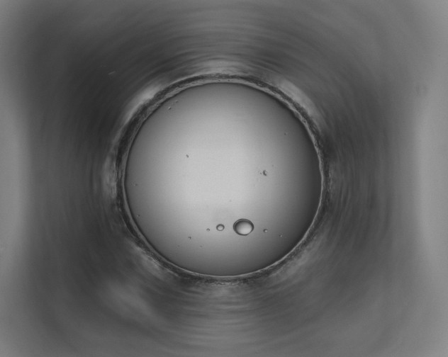 X0000112001067200908101317