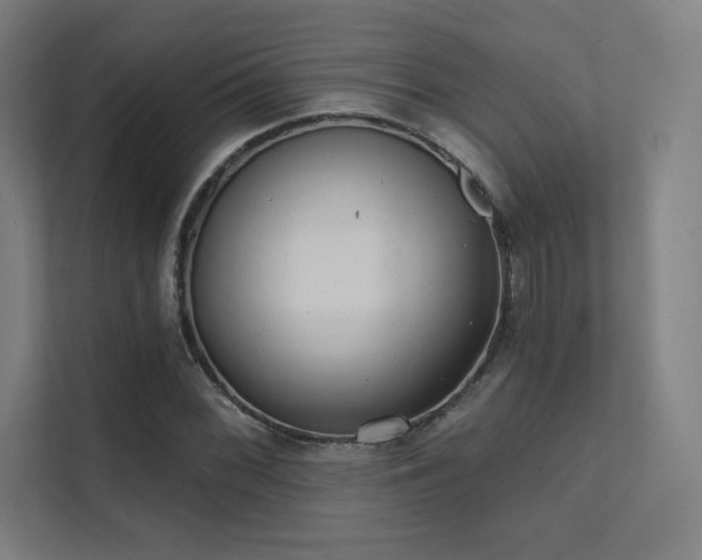 X0000112001068200908101317