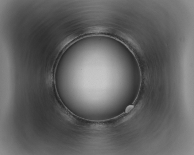 X0000112001073200908101317