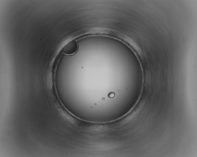 X0000112001075200908101317