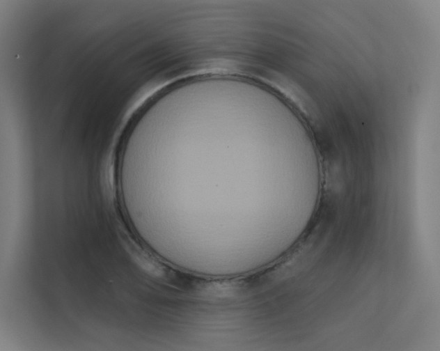 X0000112001078200908101317