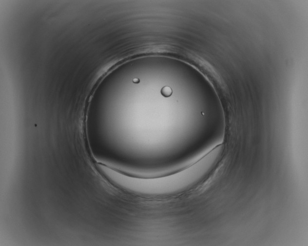 X0000112001081200908101317