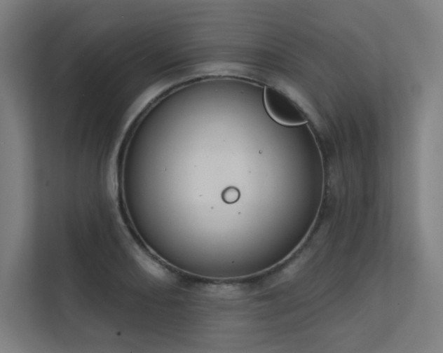 X0000112001082200908101317