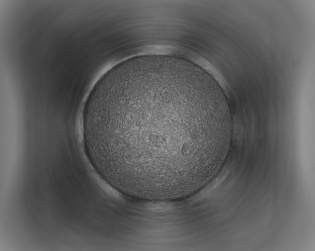 X0000112001083200908101317