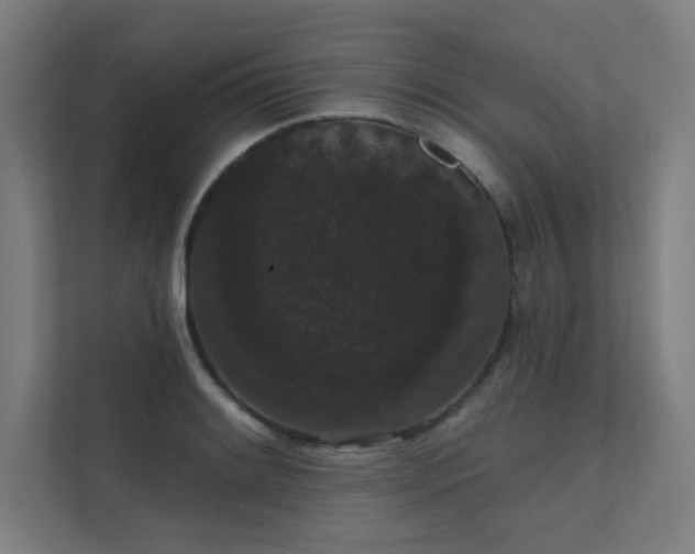 X0000112001084200908101317